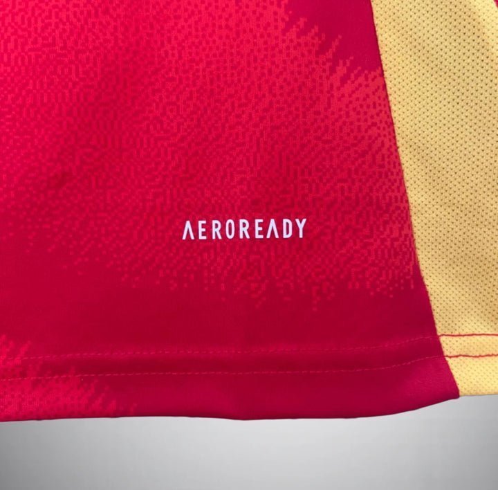 2024 Spain Home Kit from FootballPrestige.com - Premium Football Kits