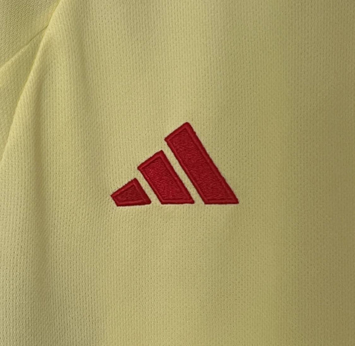 2024 Wales Away Kit from FootballPrestige.com - Premium Football Kits