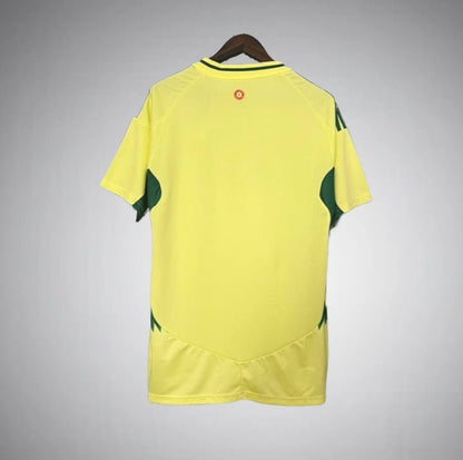 2024 Wales Away Kit from FootballPrestige.com - Premium Football Kits