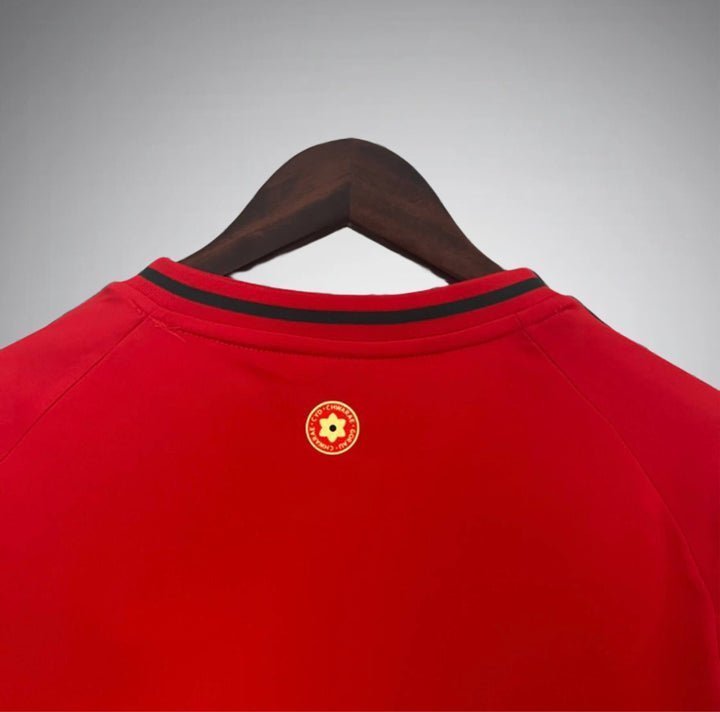 2024 Wales Home Kit from FootballPrestige.com - Premium Football Kits