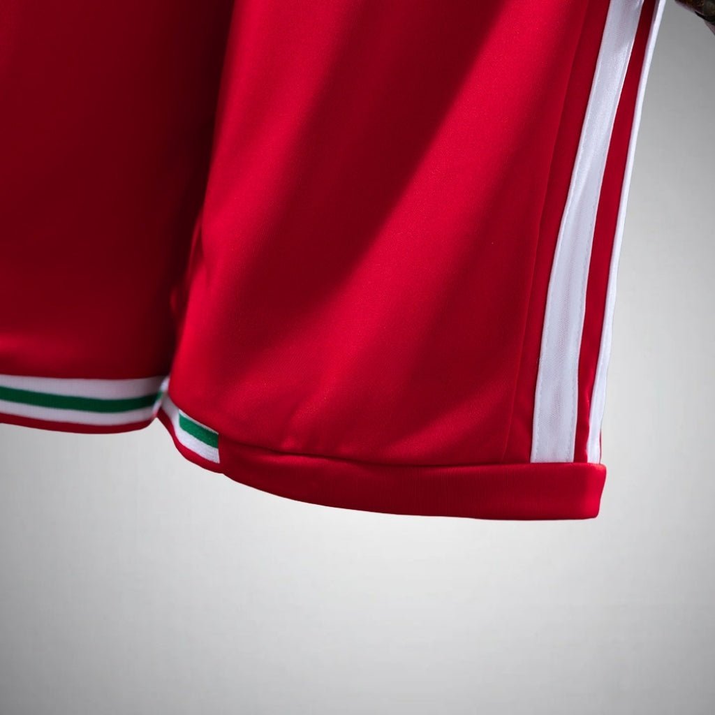 2026 Wales Home Kids Size Kit from FootballPrestige.com - Premium Football Kits