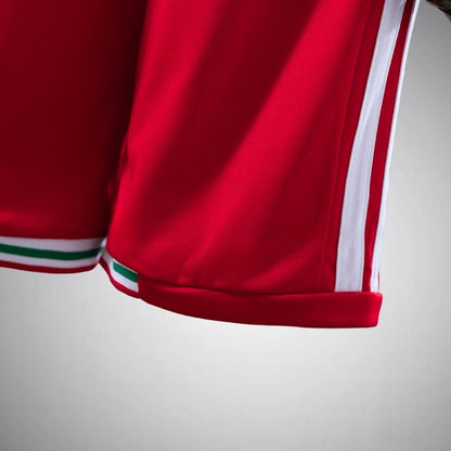2026 Wales Home Kids Size Kit from FootballPrestige.com - Premium Football Kits