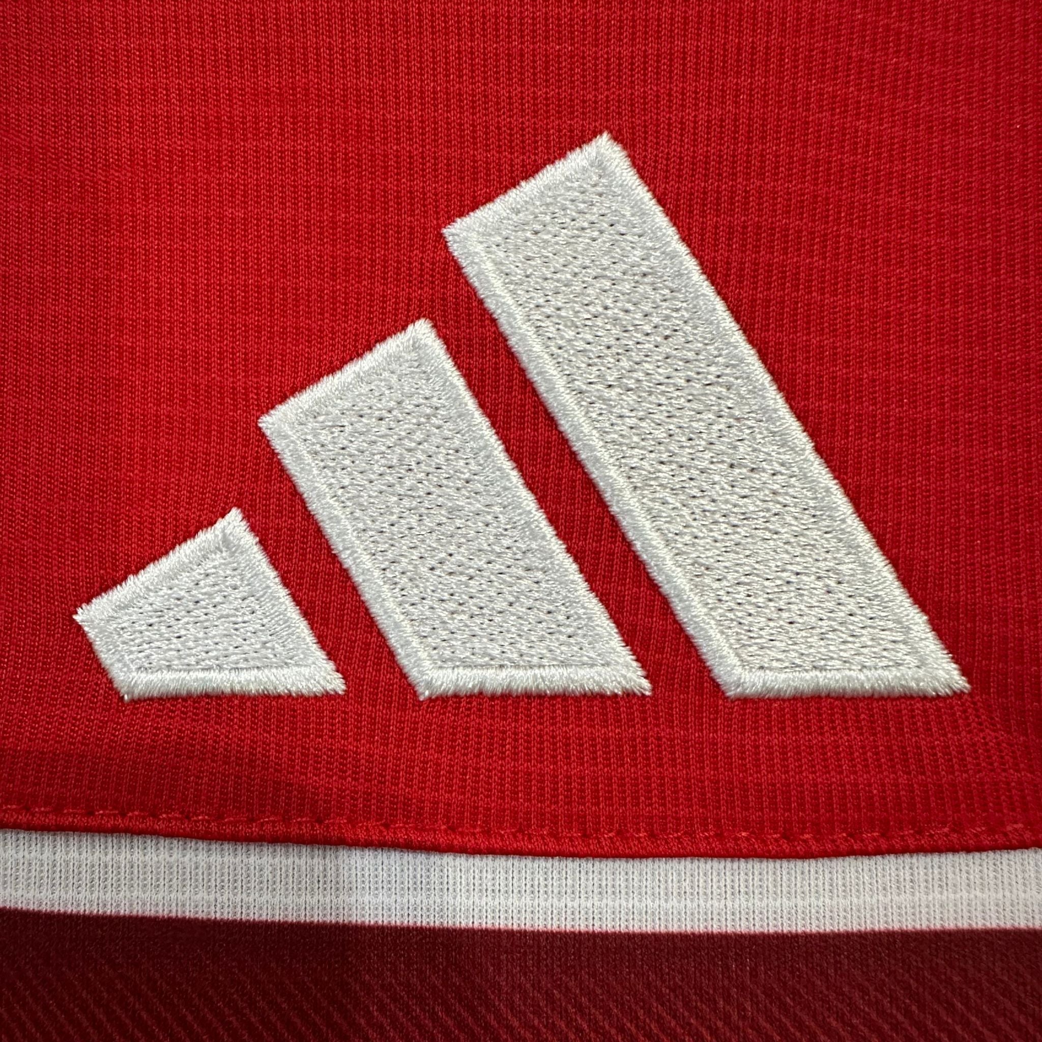 2026 Wales Home Kit from FootballPrestige.com - Premium Football Kits