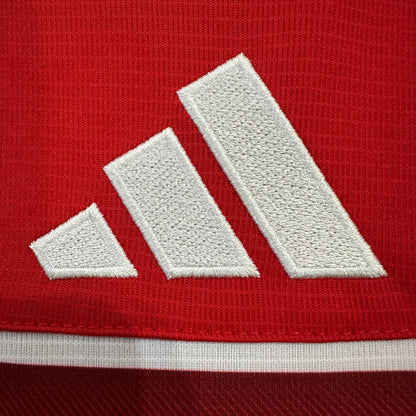 2026 Wales Home Kit from FootballPrestige.com - Premium Football Kits