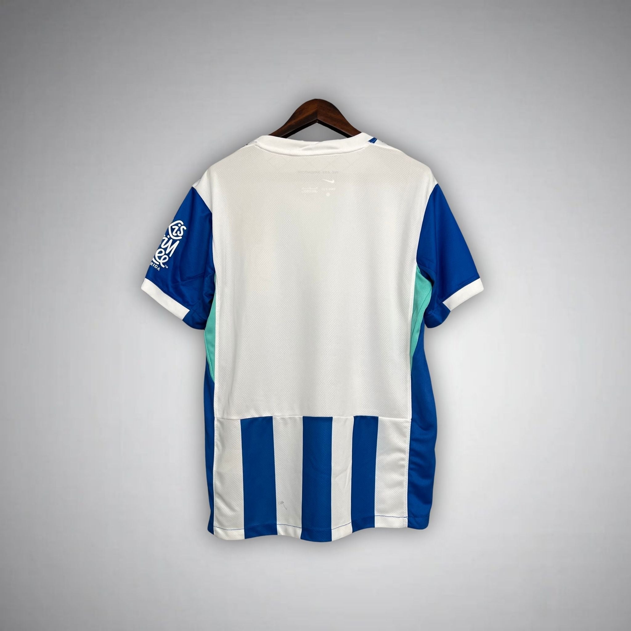 25/26 Brighton Home Kit from FootballPrestige.com - Premium Football Kits