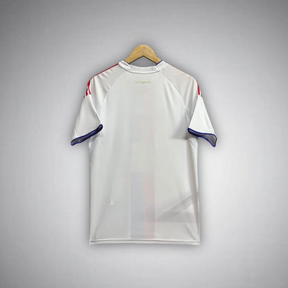 25/26 Lyon Home Kit from FootballPrestige.com - Premium Football Kits